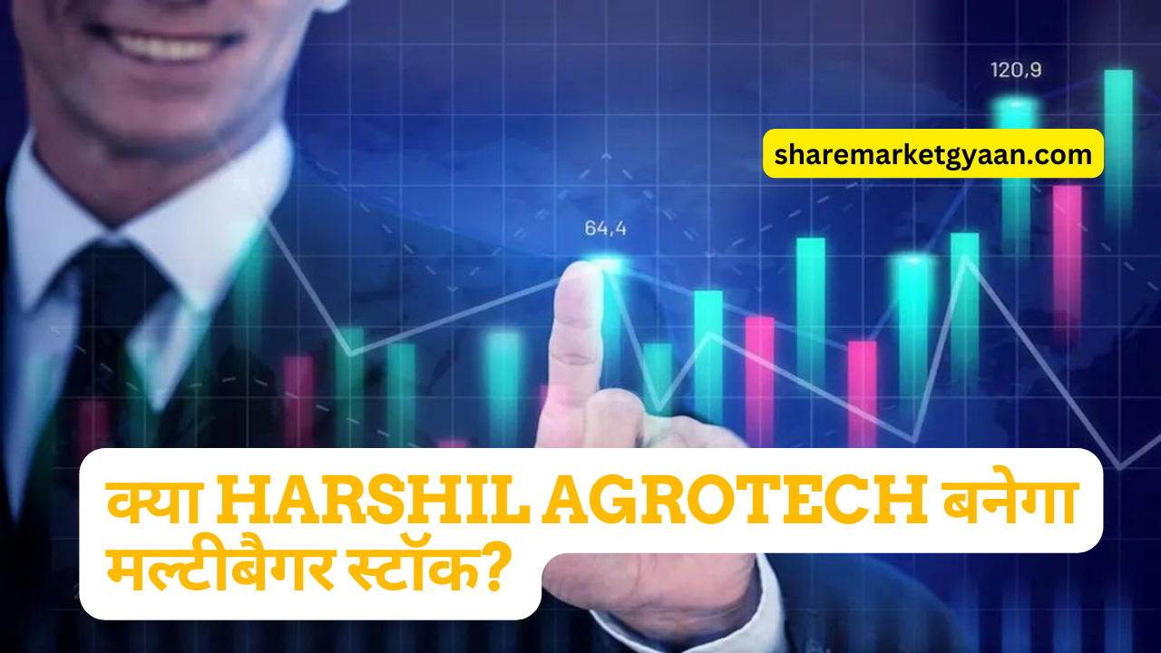 Harshil Agrotech Share Price Target